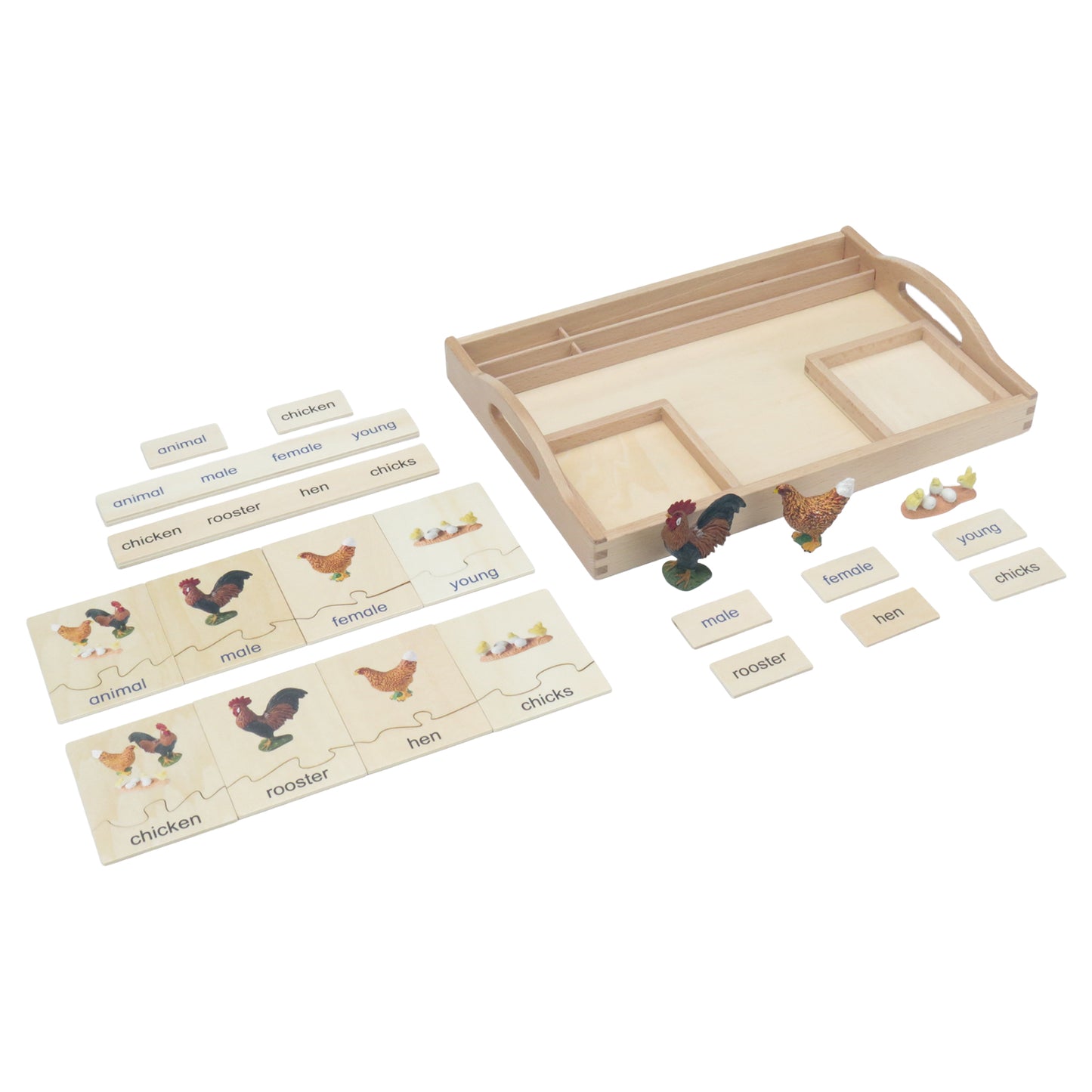 عائلة الحيوانات - دجاجة، نص مخصص، ثنائي اللغة، أحادي اللغة