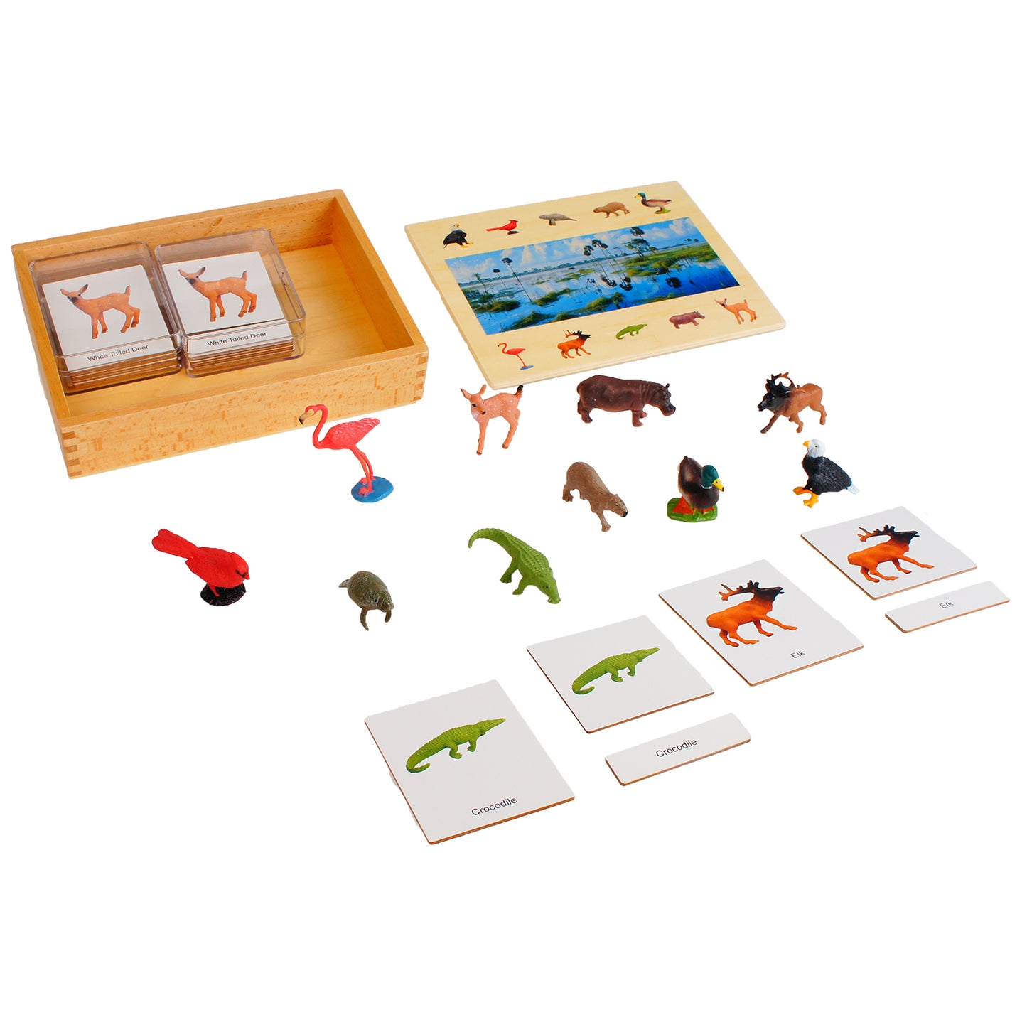 Écosystème – Animaux des zones humides, texte personnalisé, bilingue, monolingue