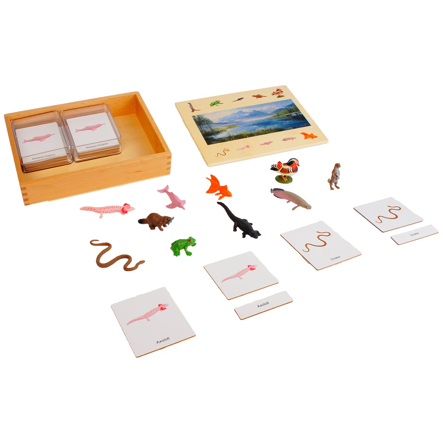 Écosystème – Animaux d'eau douce, texte personnalisé, bilingue, monolingue