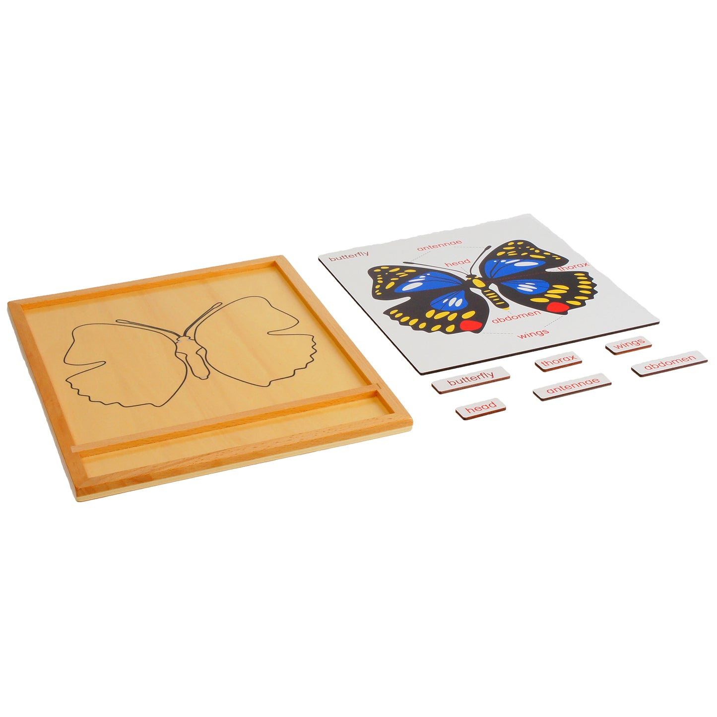 Parties d'animaux - Papillon, texte personnalisé, bilingue, monolingue