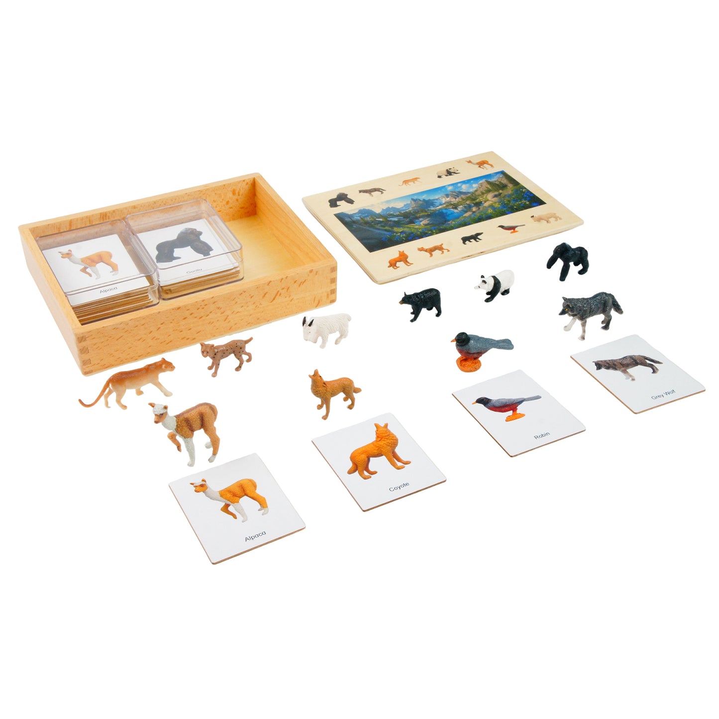 Ecossistema – Animais das Montanhas, Texto Personalizado, Bilíngue, Monolíngue