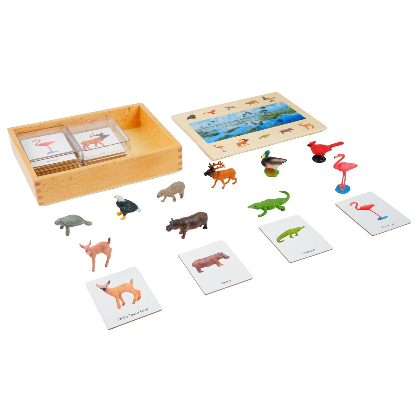 Écosystème – Animaux des zones humides, texte personnalisé, bilingue, monolingue