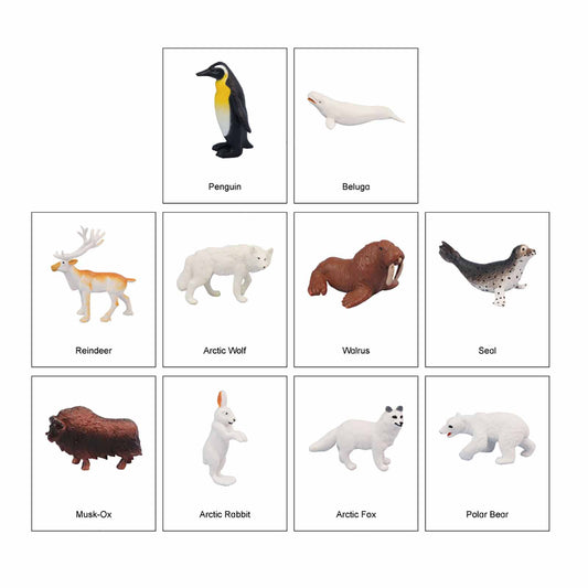 Mini Continental Animals – Polar, Custom Text, Bilingual, Monolingual