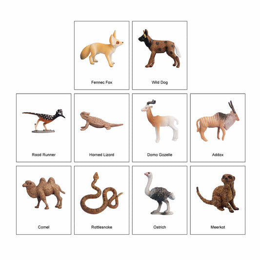 Ecosystem – Desert Animals, Custom Text, Bilingual, Monolingual