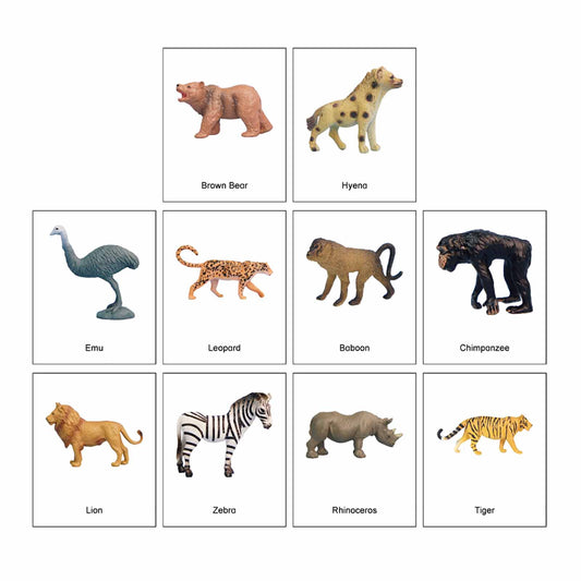 Ecosystem – Grass Land Animals, Custom Text, Bilingual, Monolingual