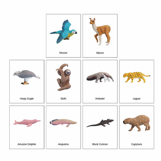 Mini Continental Animals – S. America, Custom Text, Bilingual, Monolingual