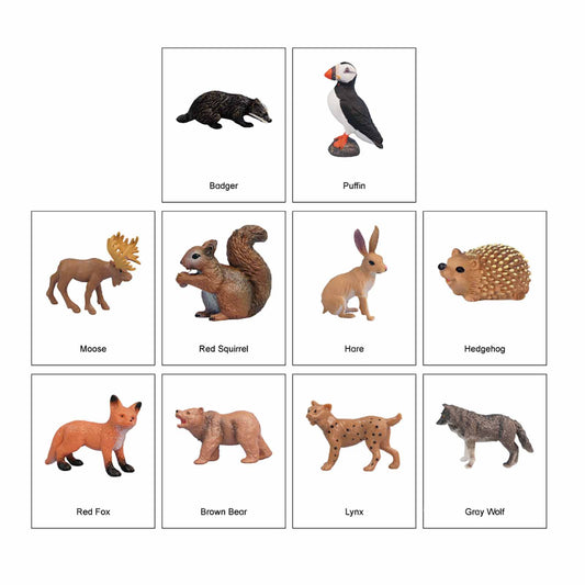 Mini Continental Animals – Europe, Custom Text, Bilingual, Monolingual