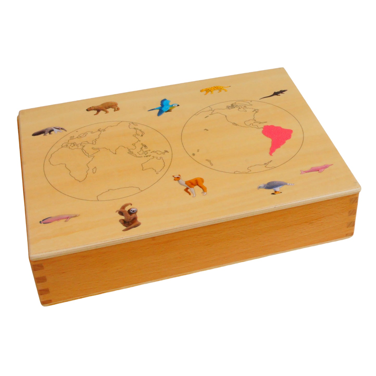 Mini animaux continentaux – Amérique du Sud, texte personnalisé, bilingue, monolingue