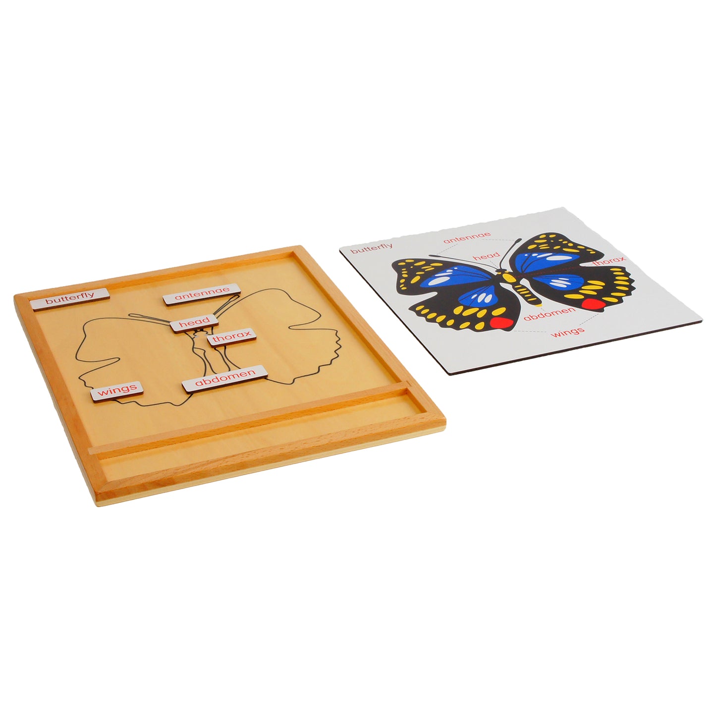Parties d'animaux - Papillon, texte personnalisé, bilingue, monolingue