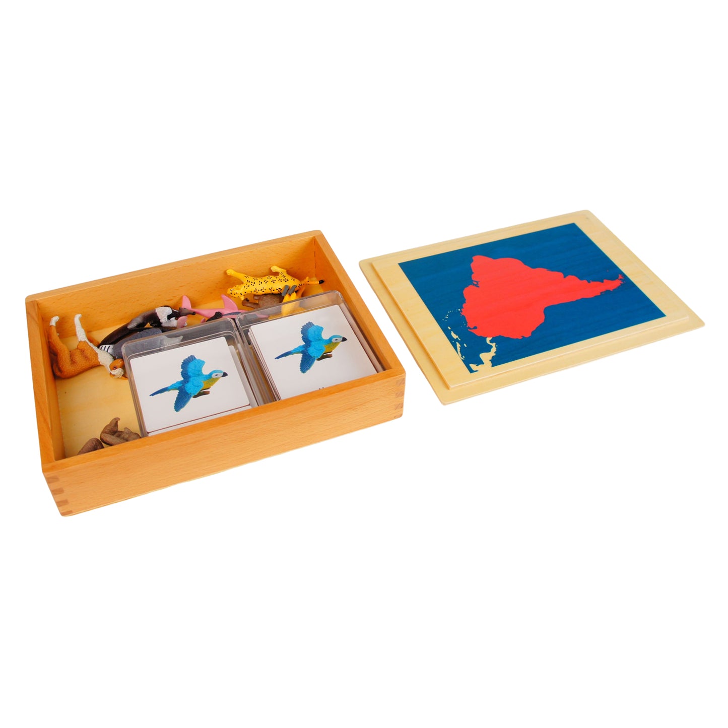 Mini animaux continentaux – Amérique du Sud, texte personnalisé, bilingue, monolingue