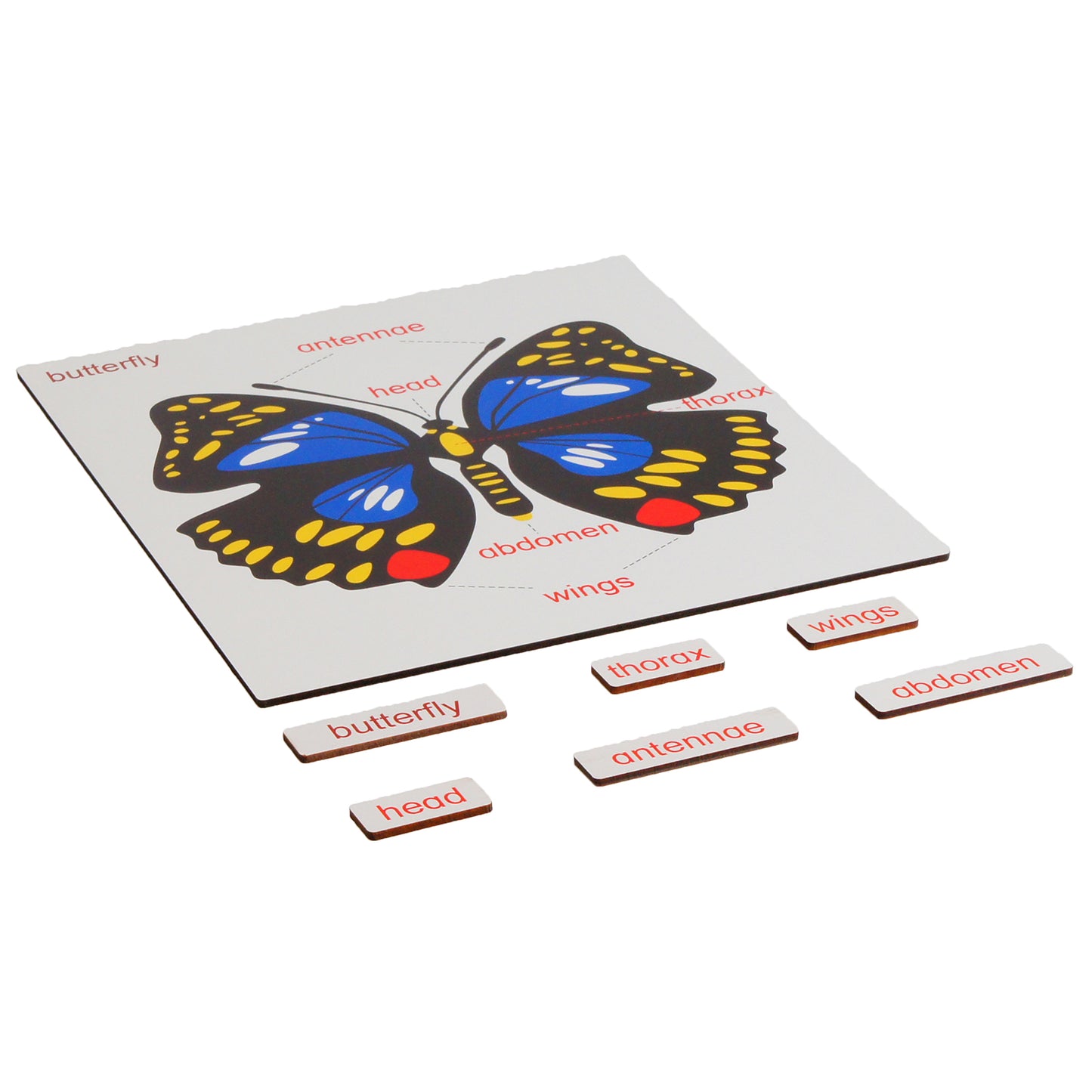 Parties d'animaux - Papillon, texte personnalisé, bilingue, monolingue