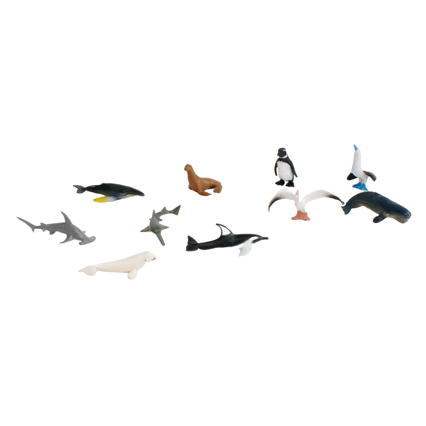 Écosystème – Animaux marins, Texte personnalisé, Bilingue, Monolingue