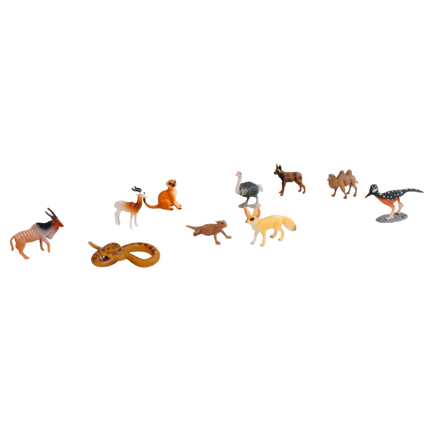 Écosystème – Animaux du désert, texte personnalisé, bilingue, monolingue