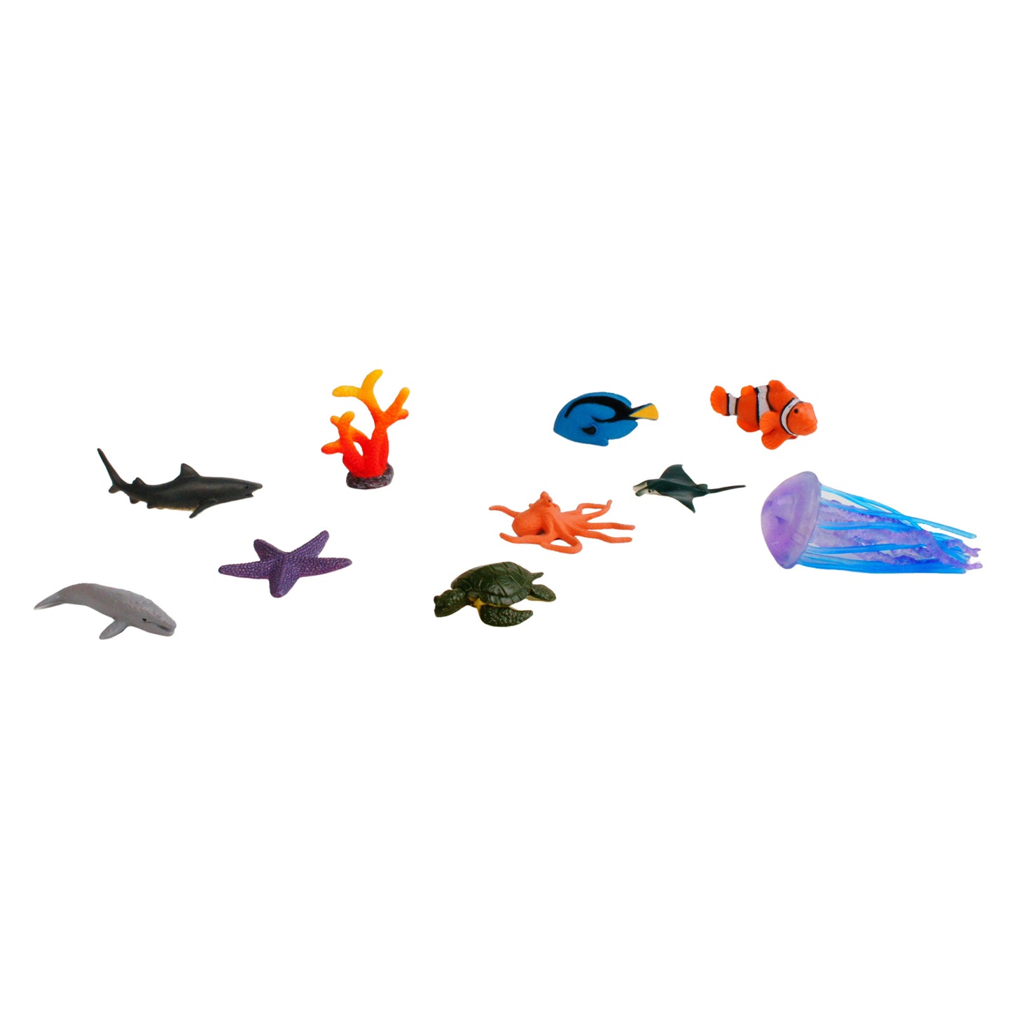 Écosystème – Animaux des récifs coralliens, texte personnalisé, bilingue, monolingue