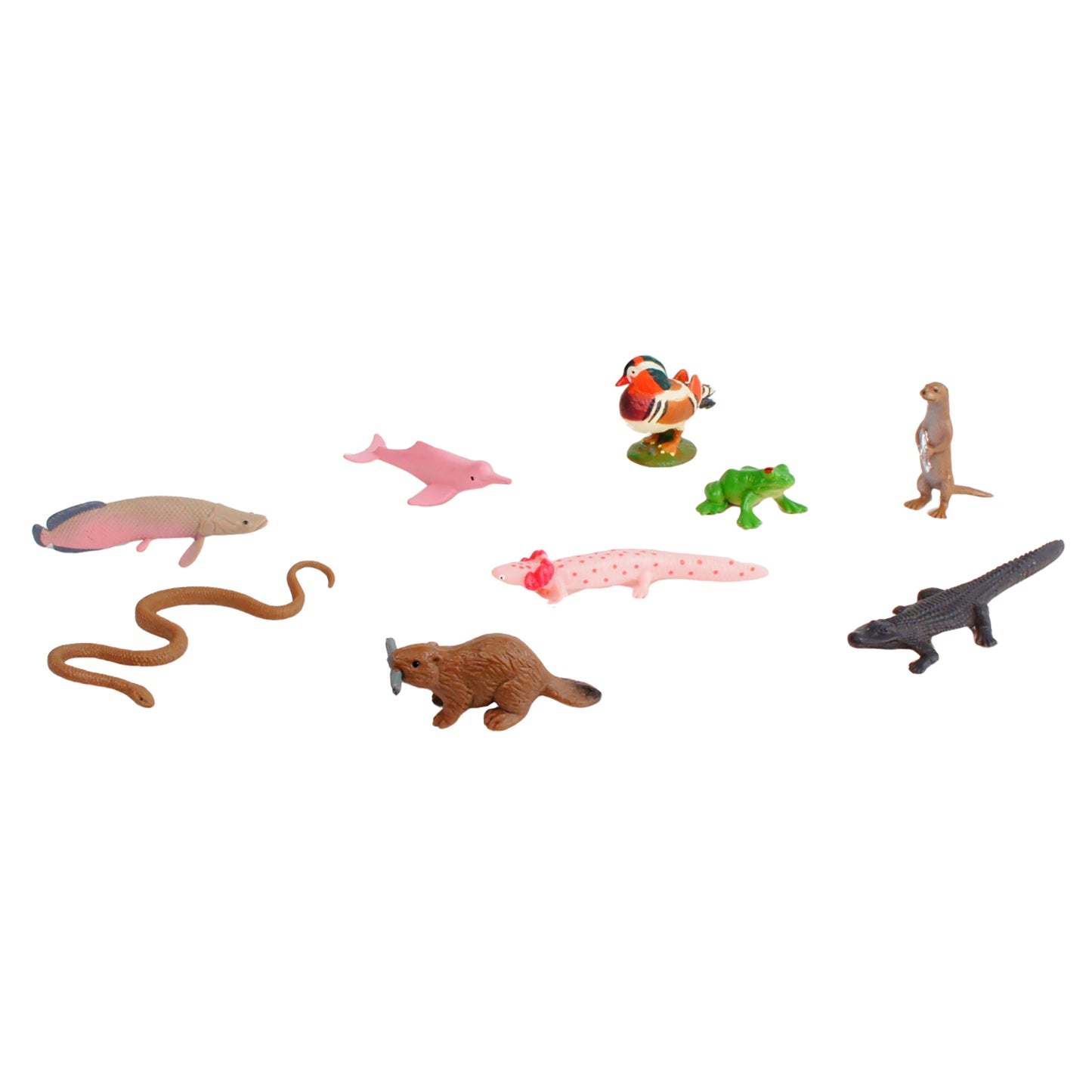 Écosystème – Animaux d'eau douce, texte personnalisé, bilingue, monolingue