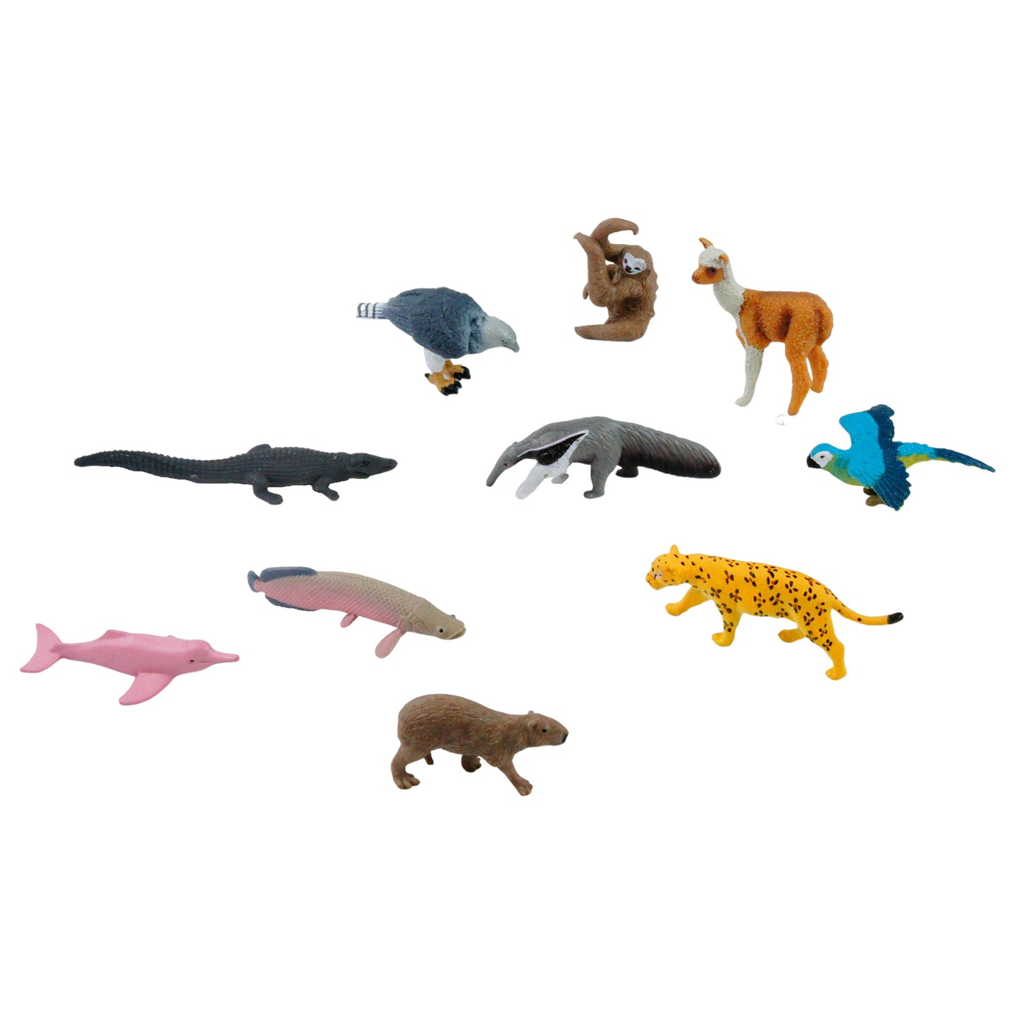 Mini animaux continentaux – Amérique du Sud, texte personnalisé, bilingue, monolingue