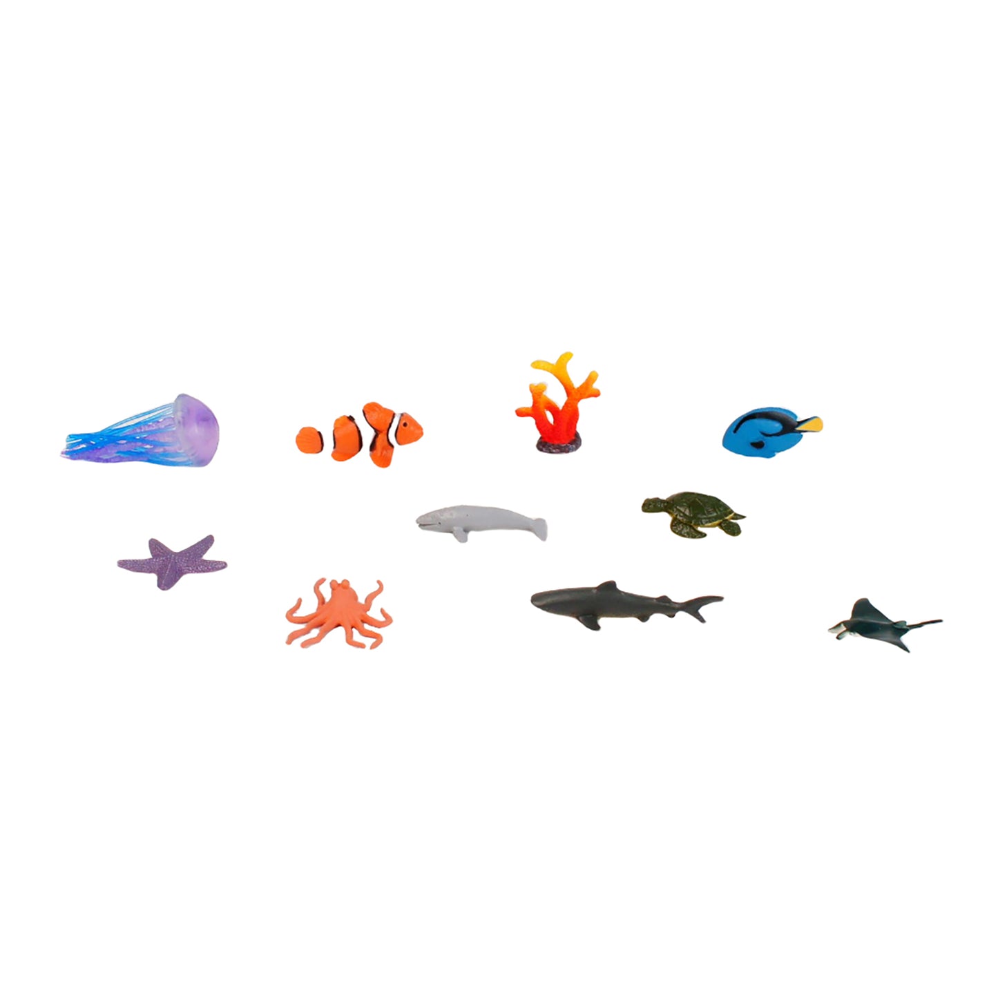 Écosystème – Animaux des récifs coralliens, texte personnalisé, bilingue, monolingue