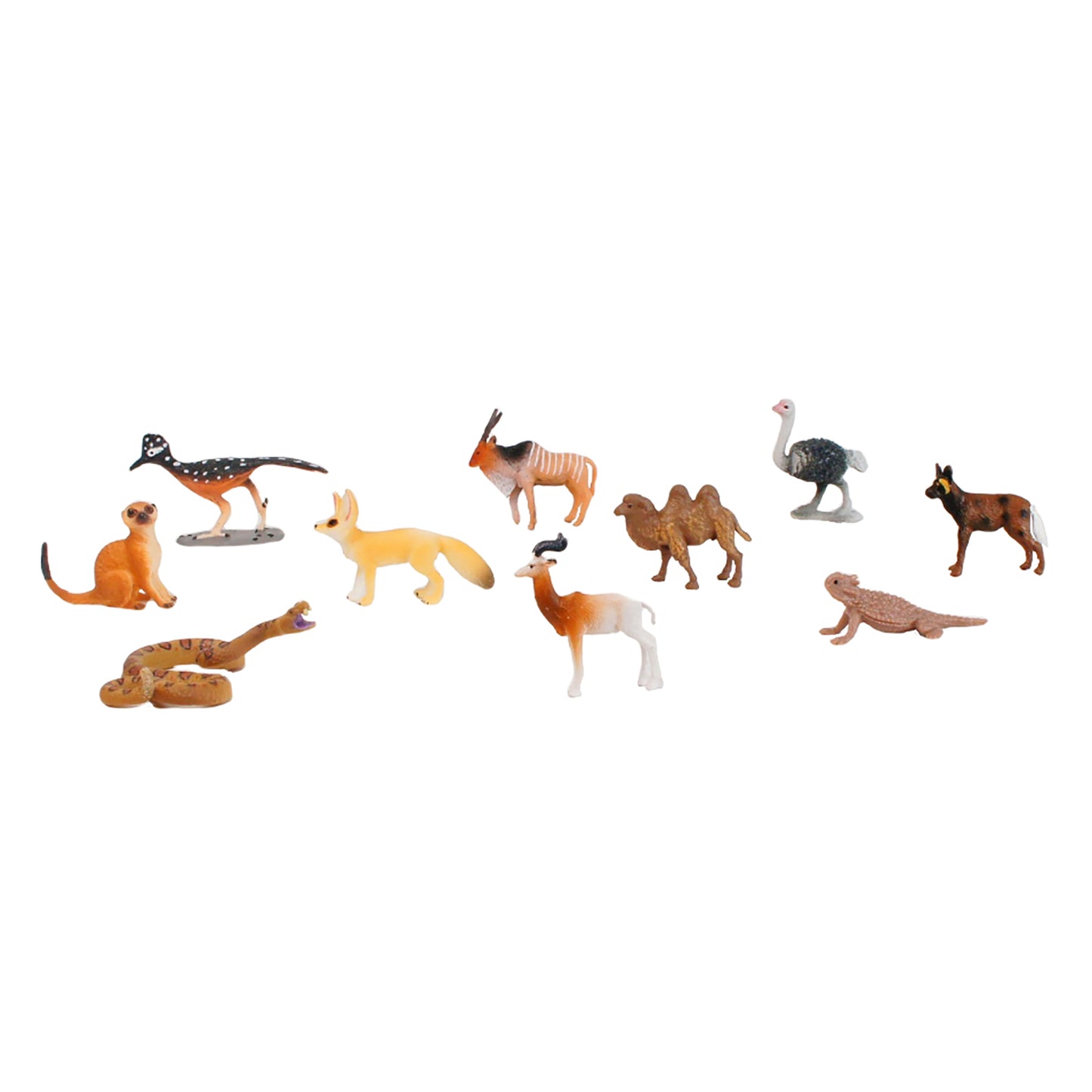 Écosystème – Animaux du désert, texte personnalisé, bilingue, monolingue