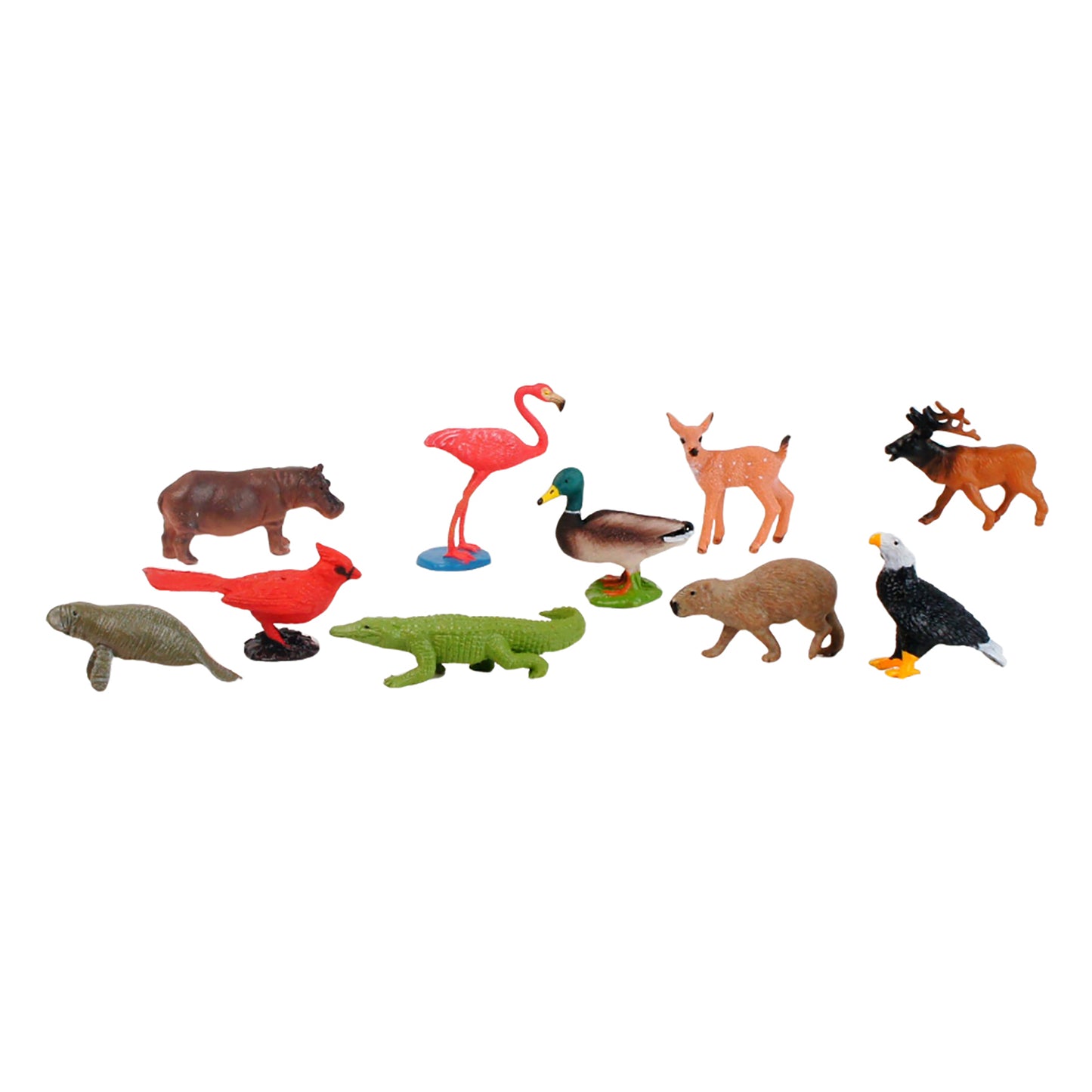Écosystème – Animaux des zones humides, texte personnalisé, bilingue, monolingue