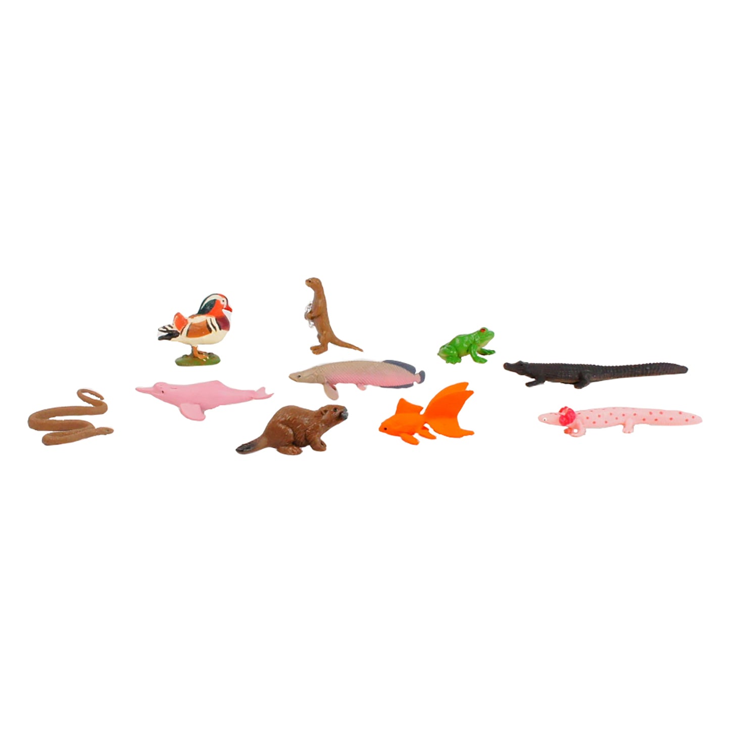 Écosystème – Animaux d'eau douce, texte personnalisé, bilingue, monolingue
