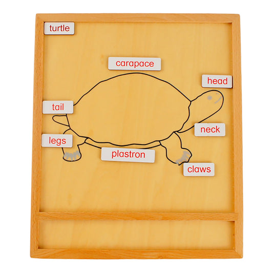 Parts of Animals – Turtle, Custom Text, Bilingual, Monolingual