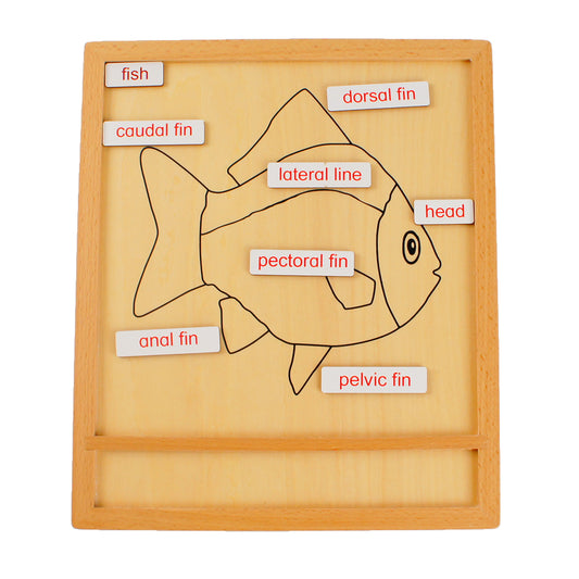 Parts of Animals - Fish, Custom Text, Bilingual, Monolingual