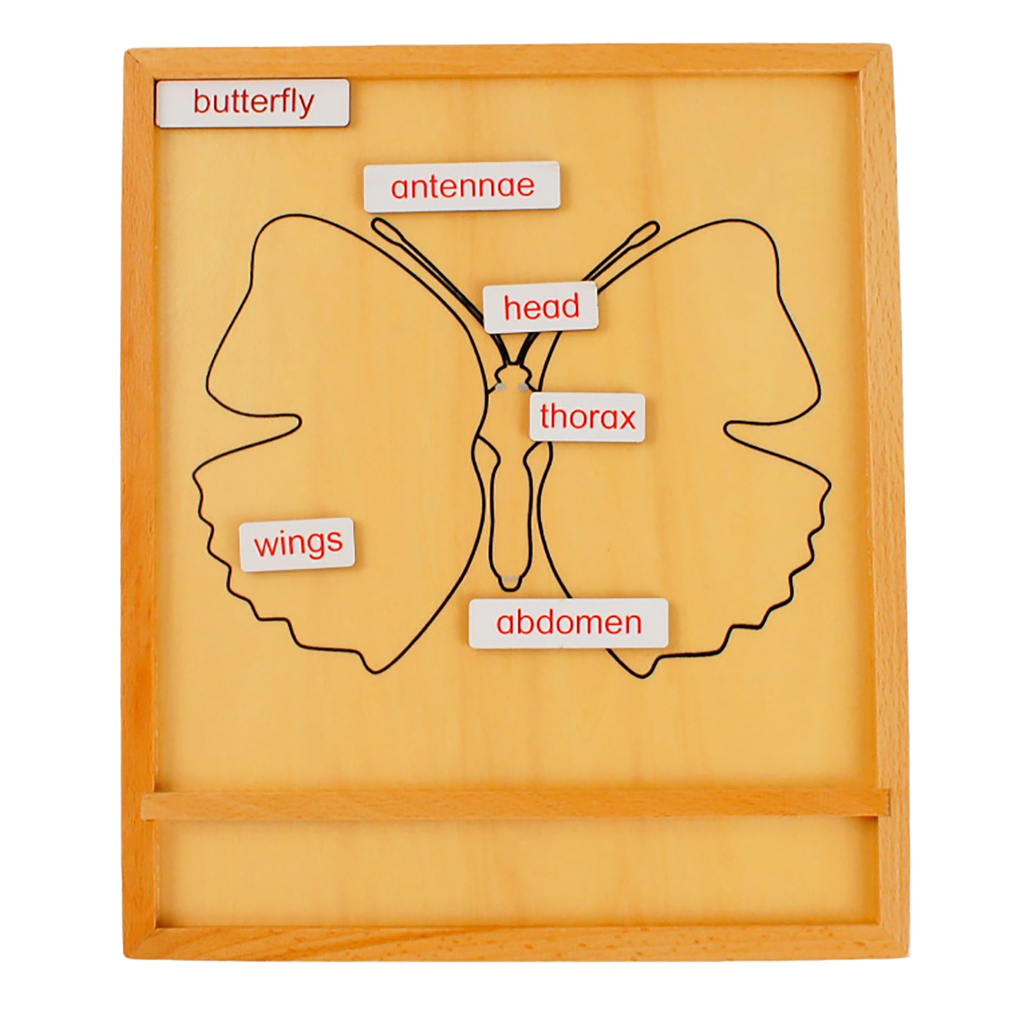 Parties d'animaux - Papillon, texte personnalisé, bilingue, monolingue