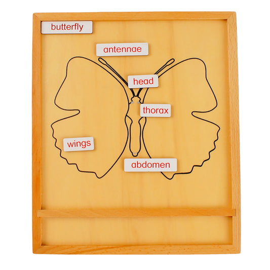 Parts of Animals - Butterfly, Custom Text, Bilingual, Monolingual