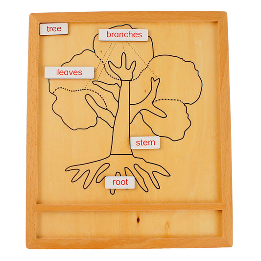 Parts of Plants - Tree, Custom Text, Bilingual, Monolingual