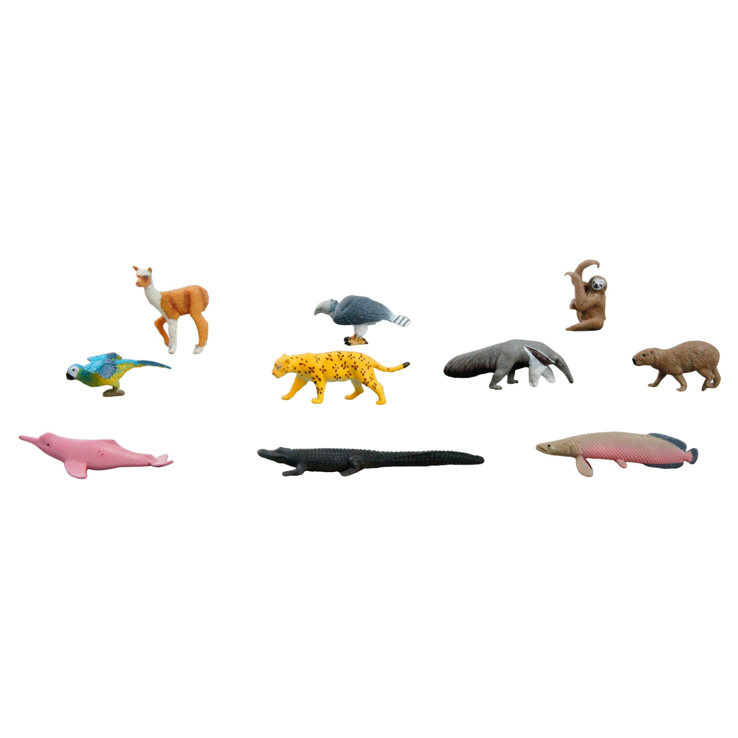 Mini animaux continentaux – Amérique du Sud, texte personnalisé, bilingue, monolingue