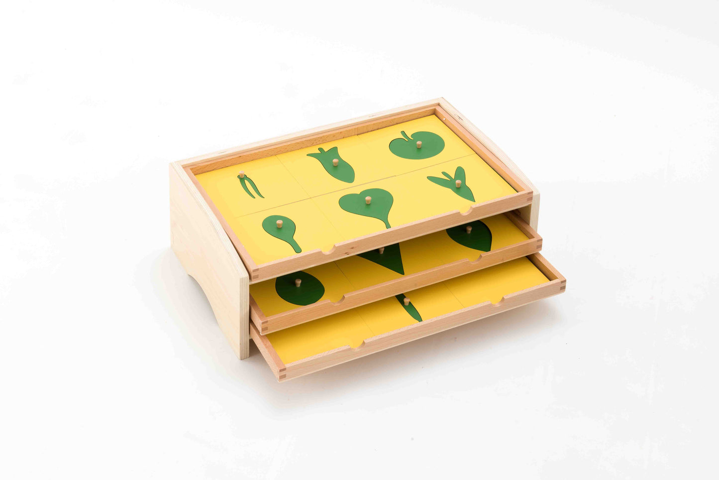 Botany Cabinet