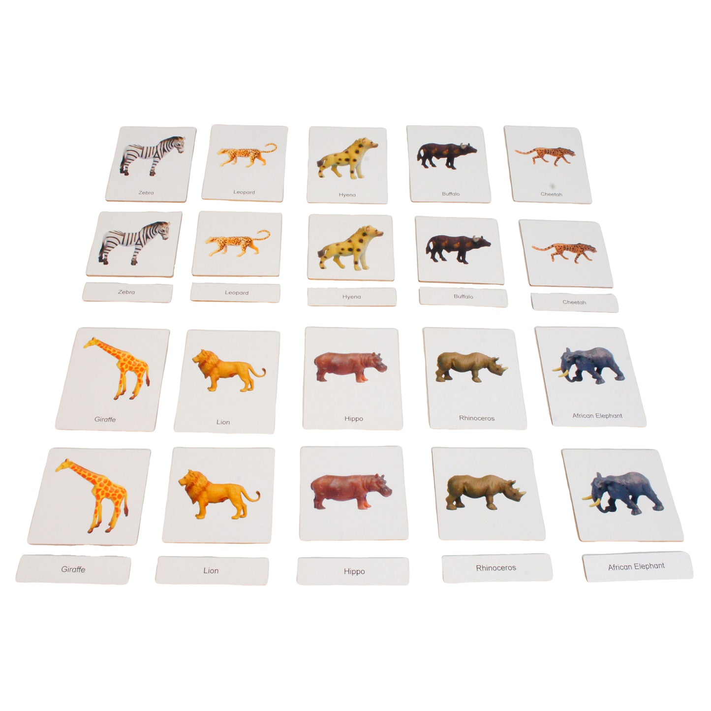 Mini Animaux continentaux – Afrique, texte personnalisé, bilingue, monolingue