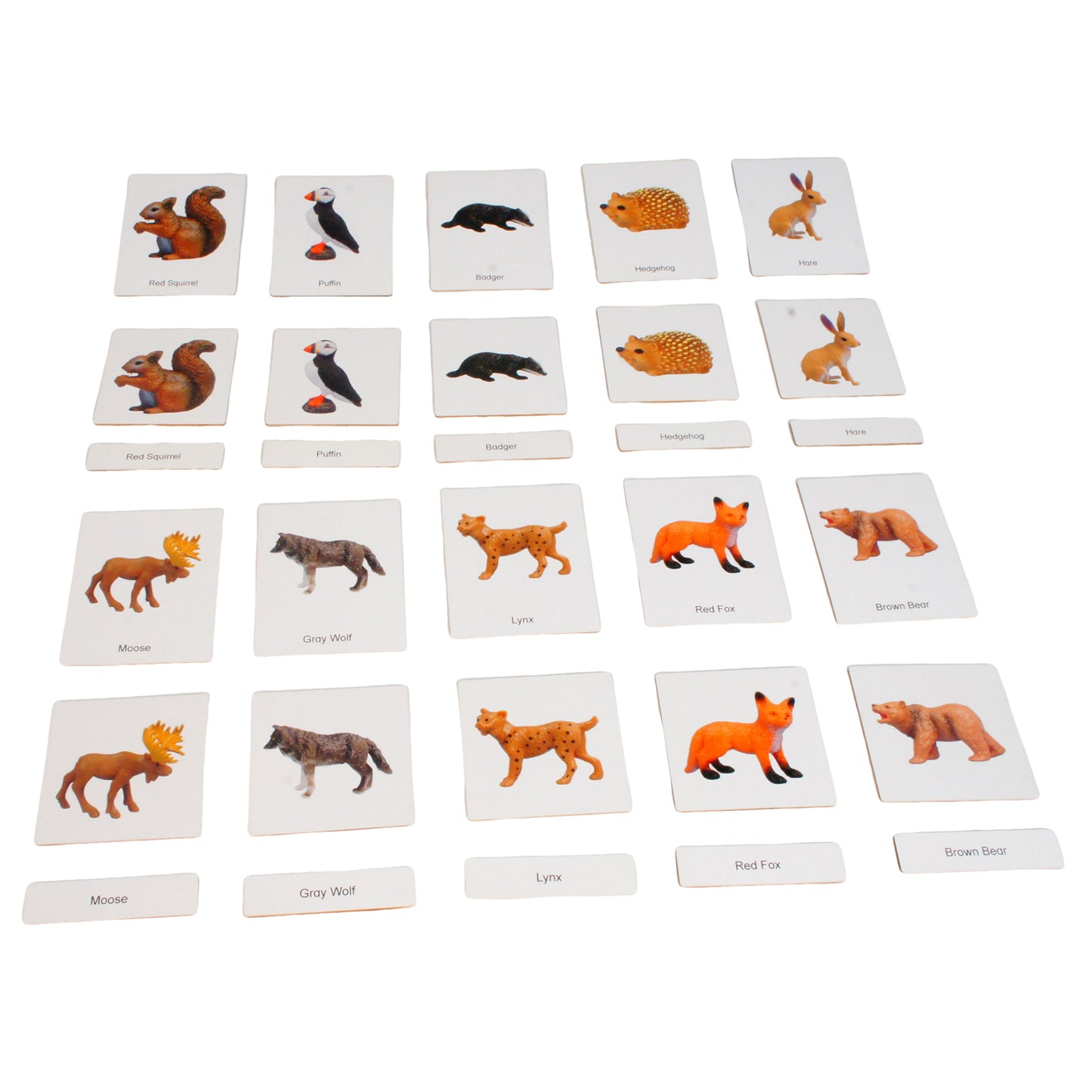 Mini Animaux continentaux – Europe, texte personnalisé, bilingue, monolingue