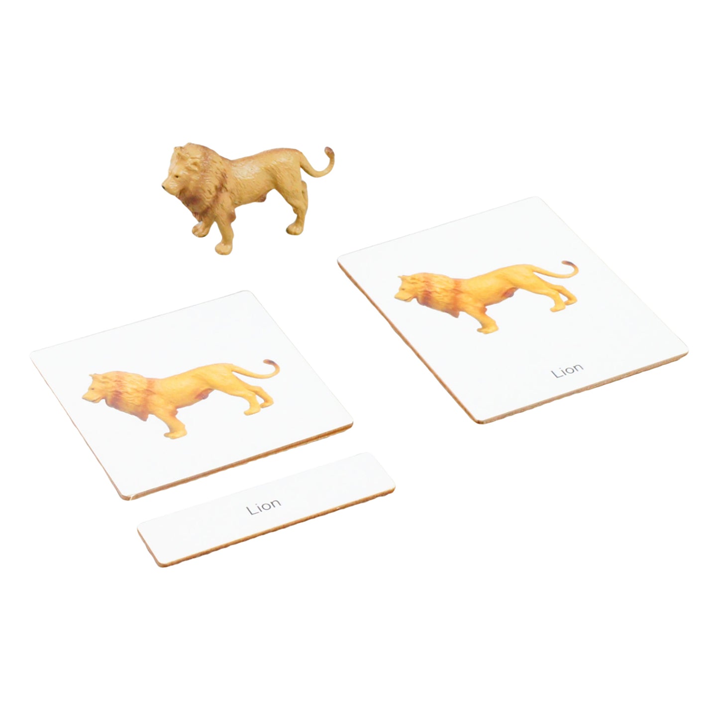 Mini Animaux continentaux – Afrique, texte personnalisé, bilingue, monolingue