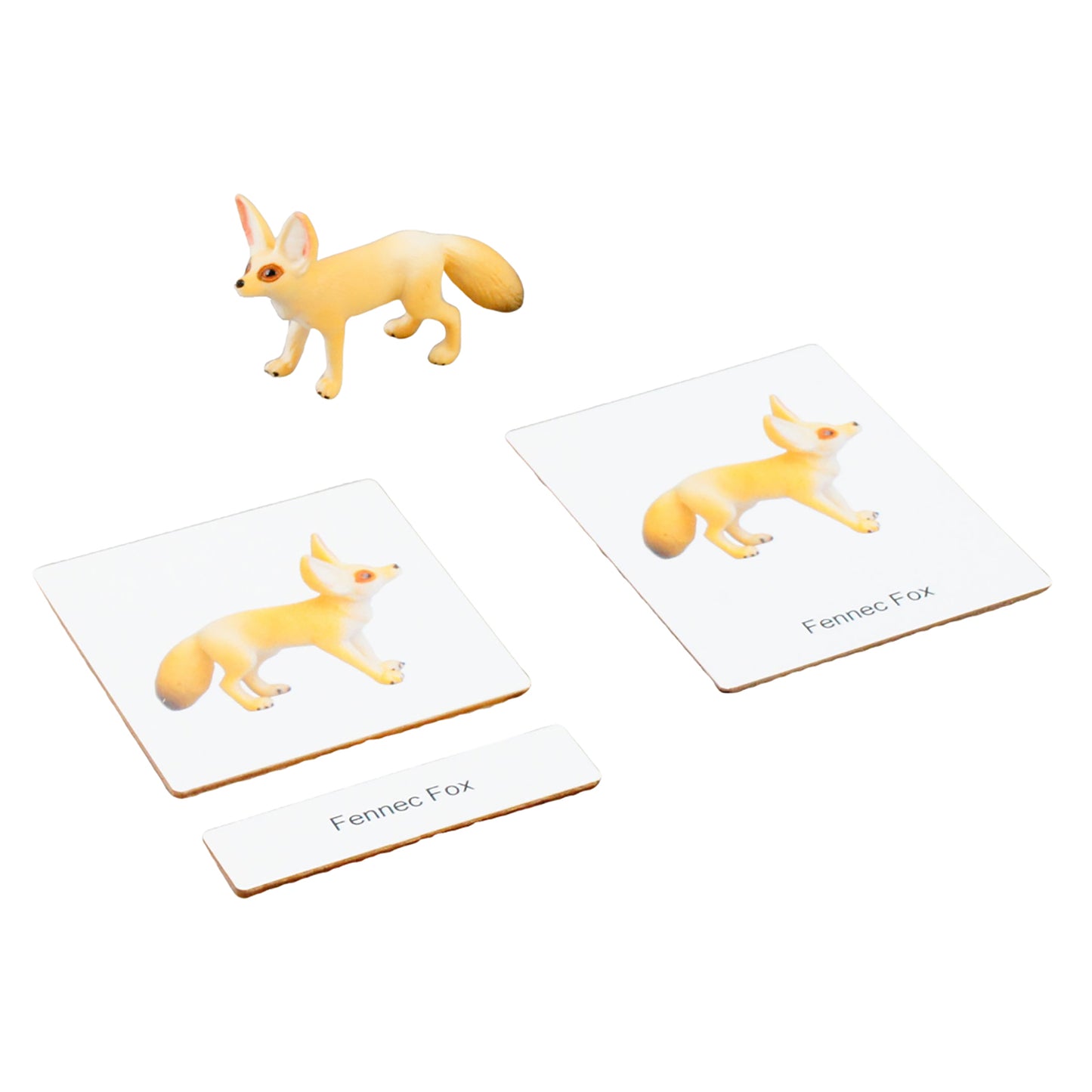 Écosystème – Animaux du désert, texte personnalisé, bilingue, monolingue
