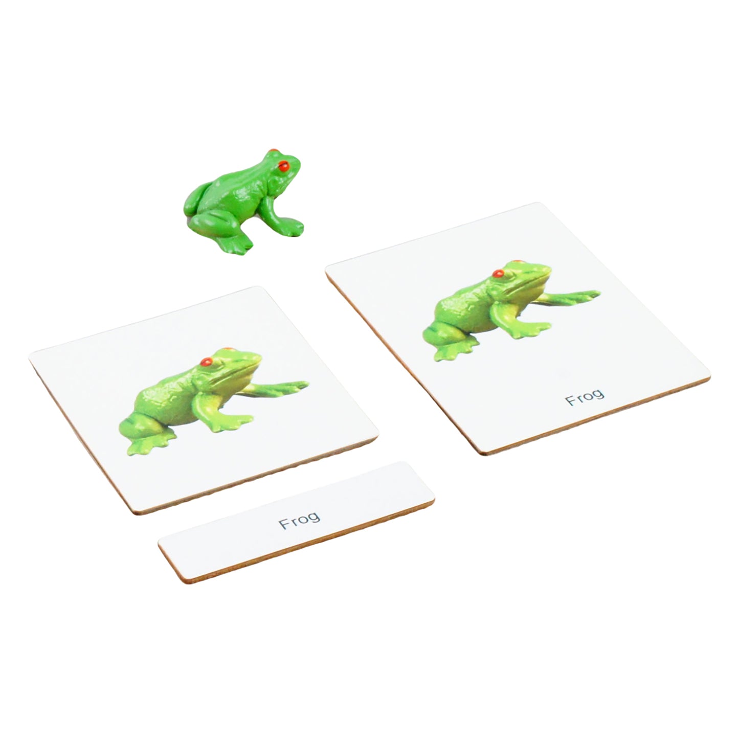 Écosystème – Animaux d'eau douce, texte personnalisé, bilingue, monolingue