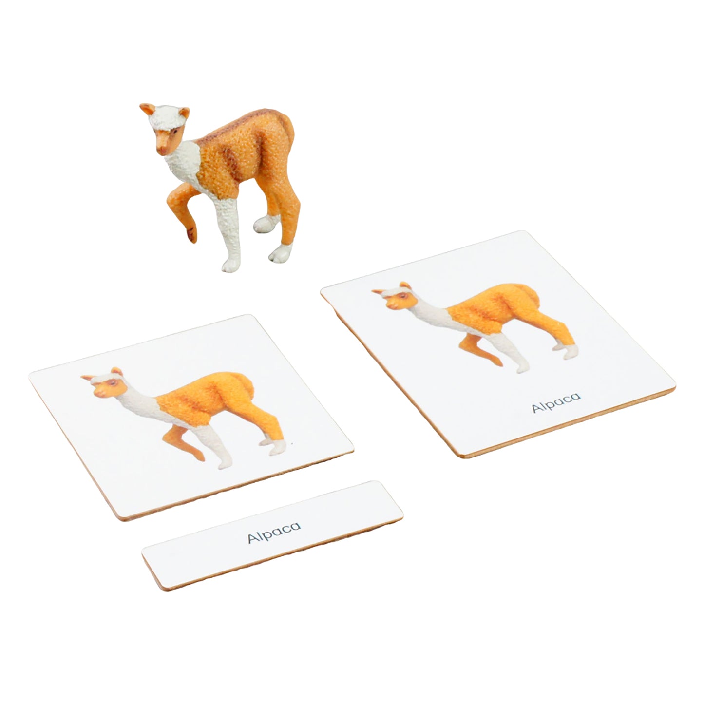 Ecossistema – Animais das Montanhas, Texto Personalizado, Bilíngue, Monolíngue