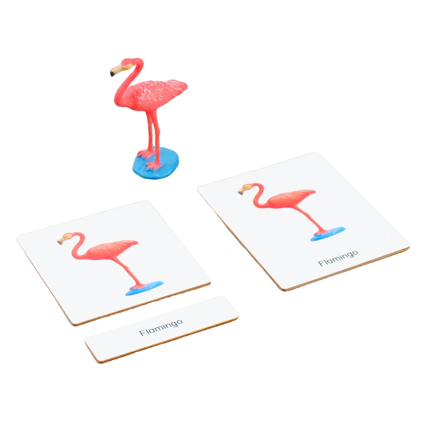 Écosystème – Animaux des zones humides, texte personnalisé, bilingue, monolingue