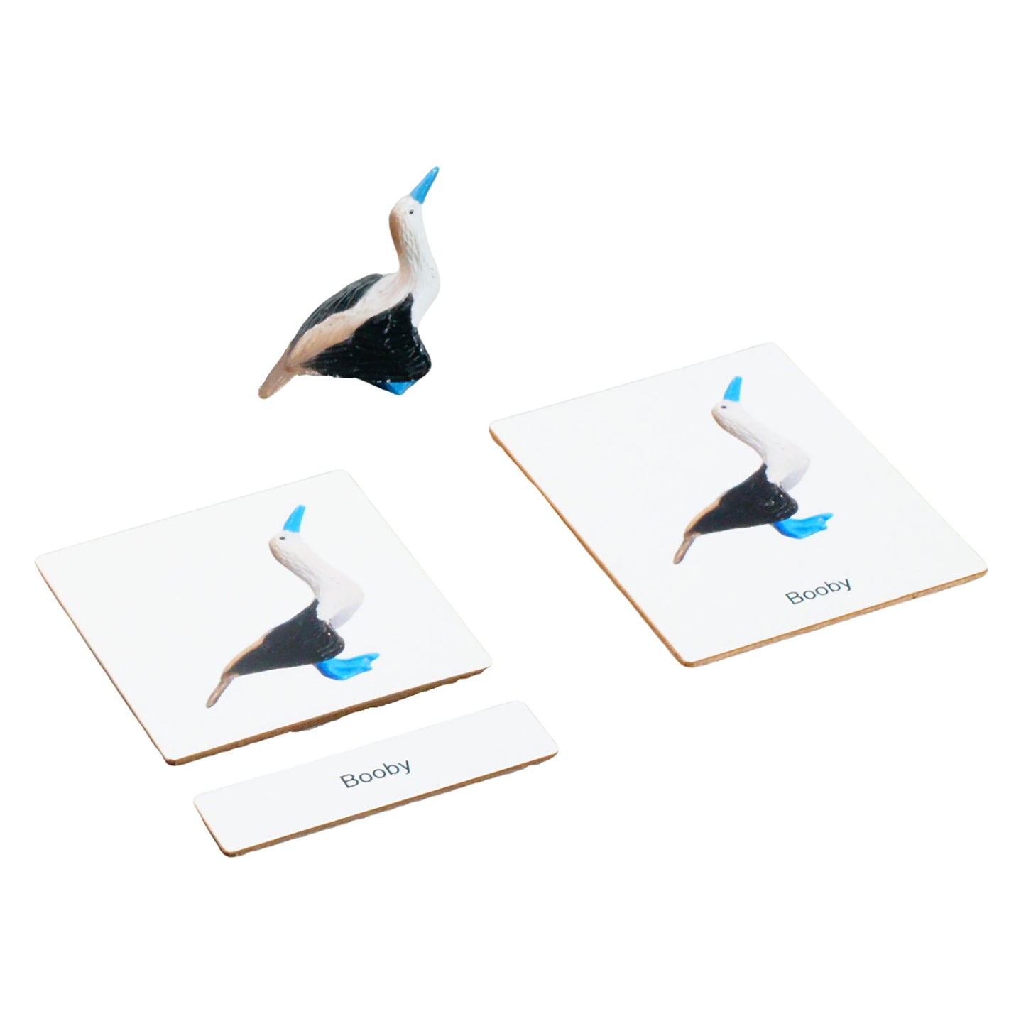 Écosystème – Animaux marins, Texte personnalisé, Bilingue, Monolingue