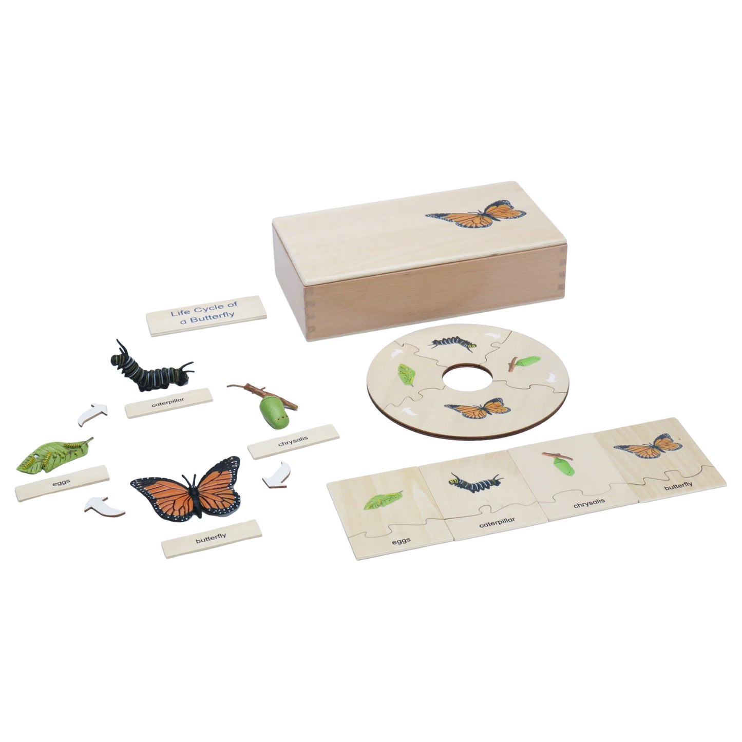 Life Cycle- Butterfly, Custom Text, Bilingual, Monolingual