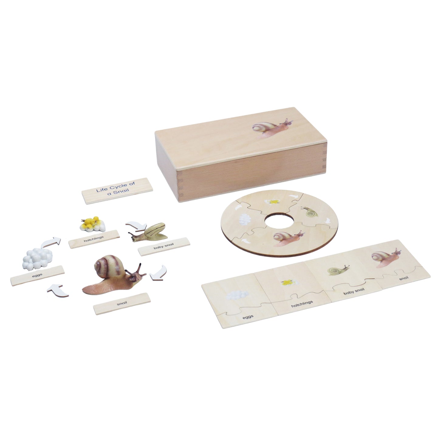 Life Cycle- Snail, Custom Text, Bilingual, Monolingual