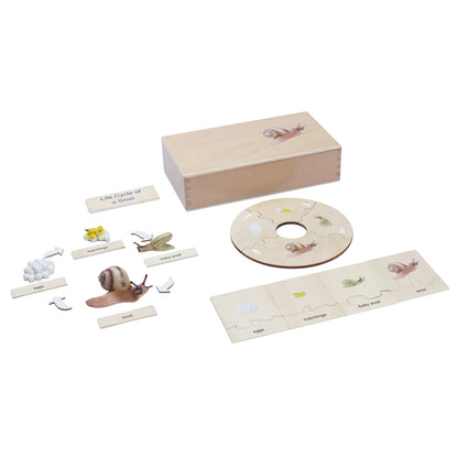 Life Cycle- Snail, Custom Text, Bilingual, Monolingual