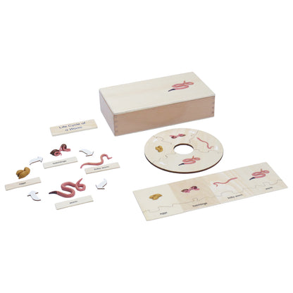 Life Cycle- Worm, Custom Text, Bilingual, Monolingual