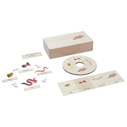 Life Cycle- Worm, Custom Text, Bilingual, Monolingual
