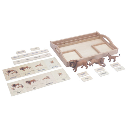 Animal Family- Lion， Custom Text，Bilingual，Monolingual