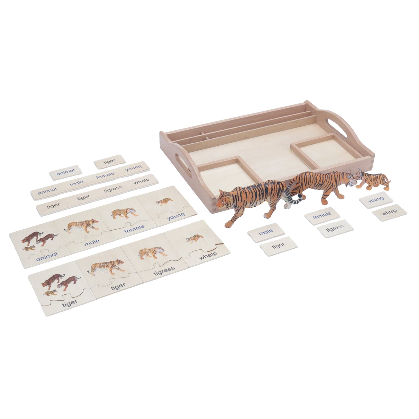 Animal Family- Tiger， Custom Text，Bilingual，Monolingual