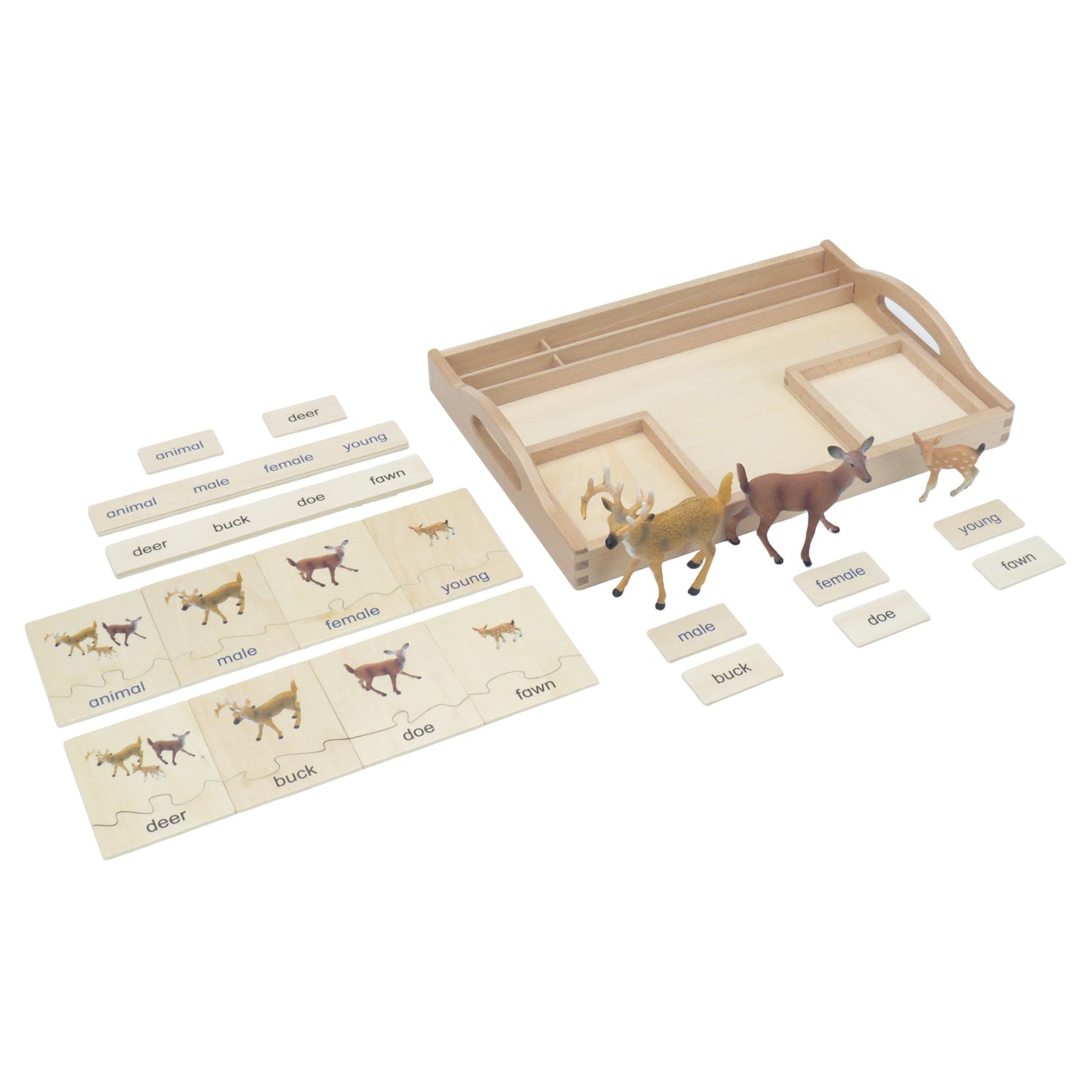 Animal Family- Deer， Custom Text，Bilingual，Monolingual