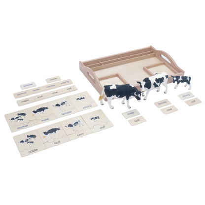 Animal Family- Cattle， Custom Text，Bilingual，Monolingual