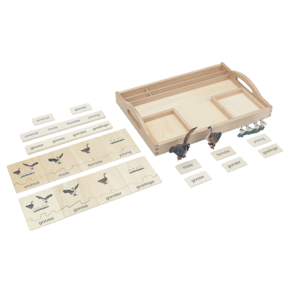 Animal Family- Goose， Custom Text，Bilingual，Monolingual