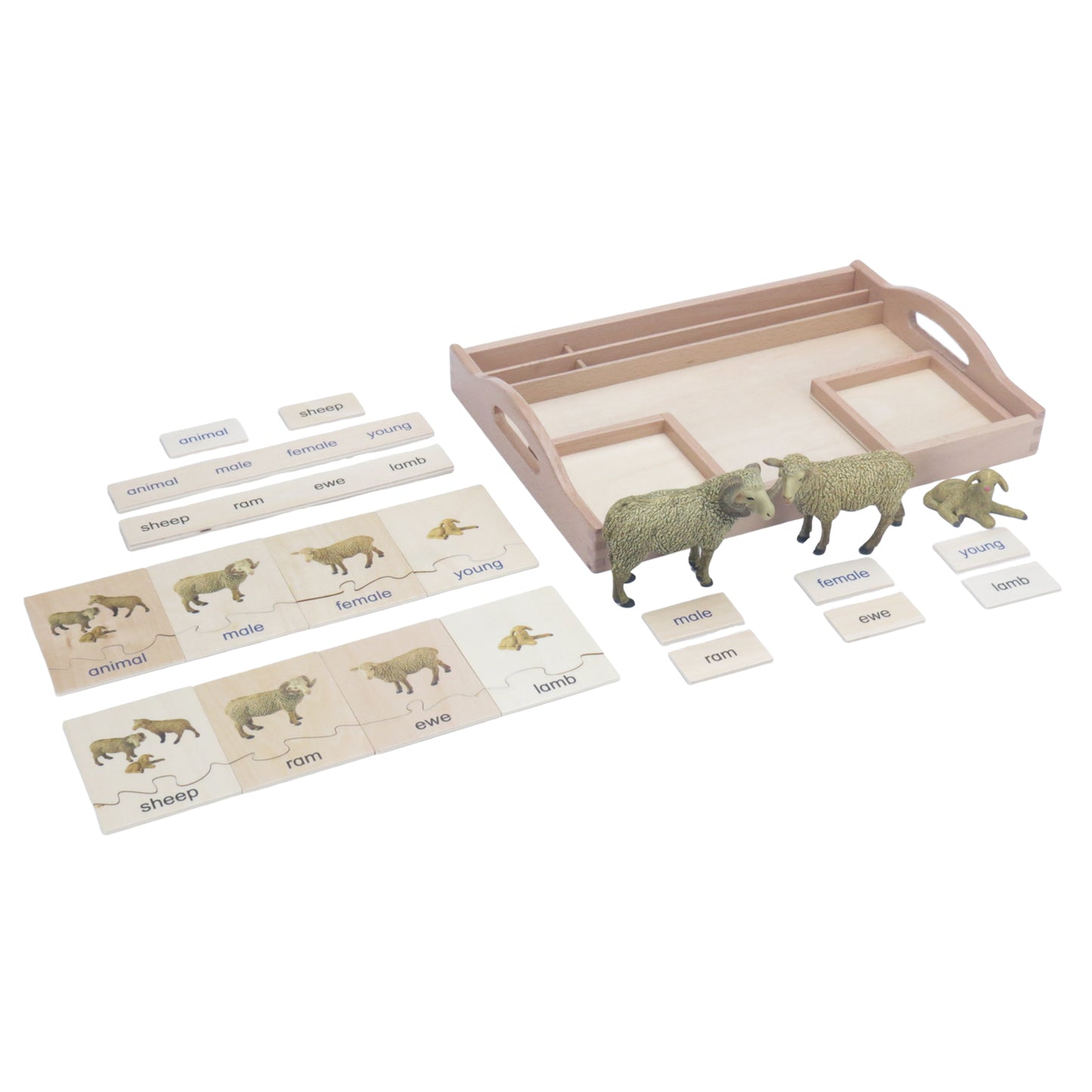 Animal Family- Sheep， Custom Text，Bilingual，Monolingual